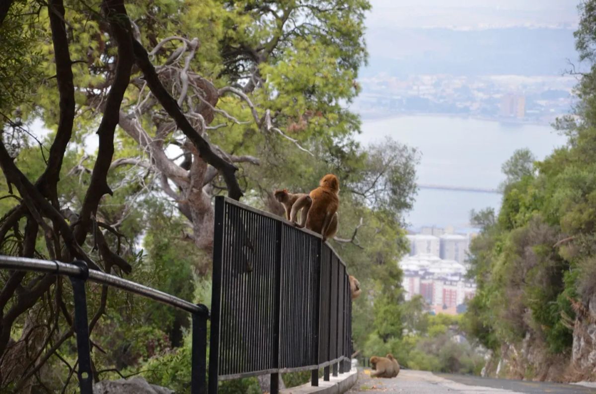 Malaga Granada Gibraltar