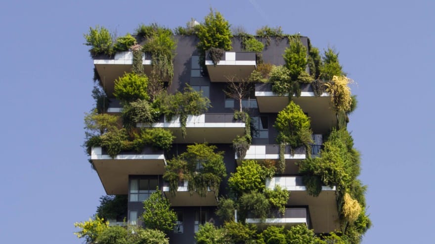 Biophilic design