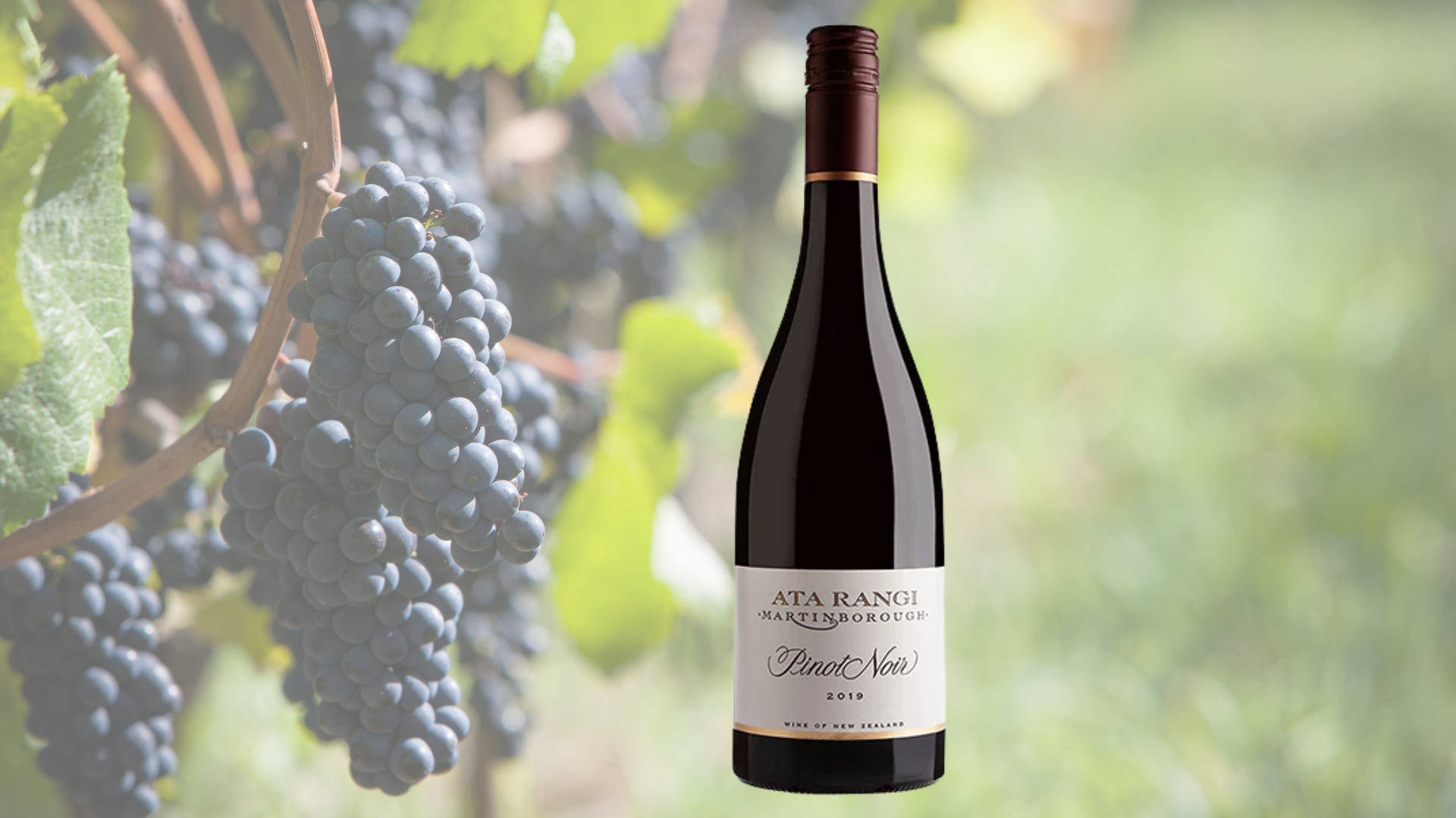 Ata Rangi Pinot Noir, Martinborough, New Zealand