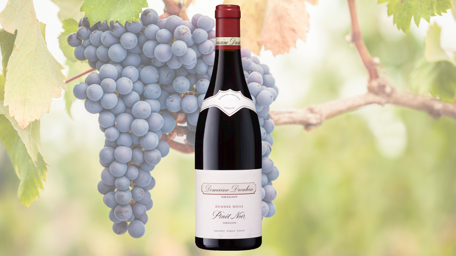 Domaine Drouhin Pinot Noir, Dundee Hills, Oregon