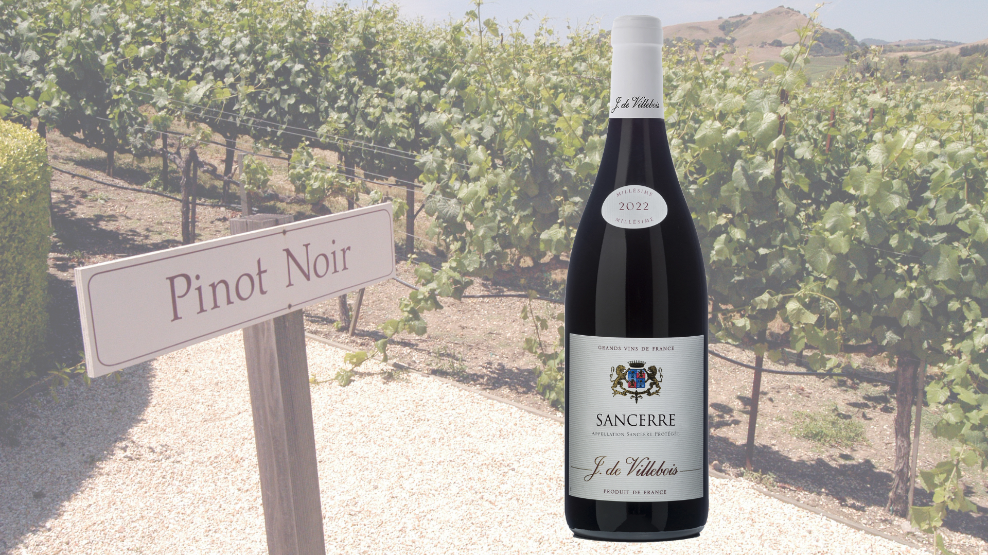 Sancerre Rouge, Loire Valley, France