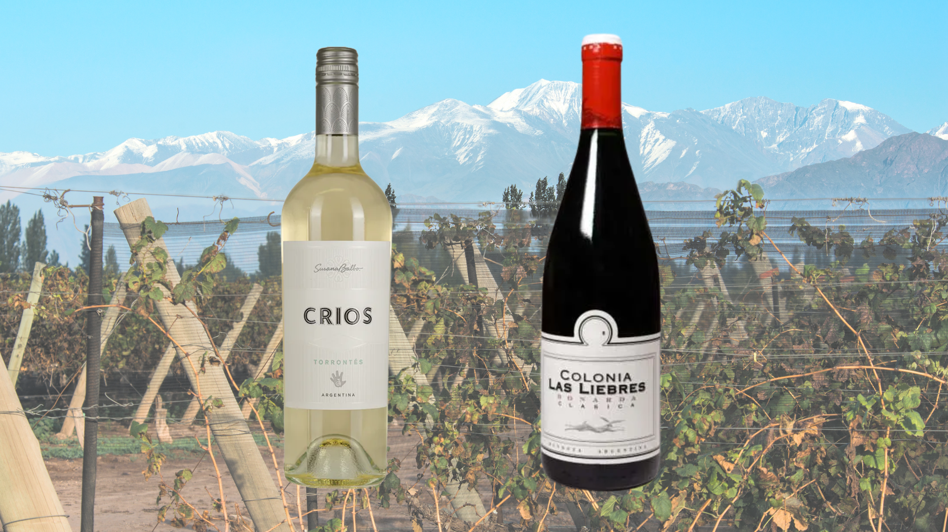 Discover Argentine Wine Varietals Beyond Malbec