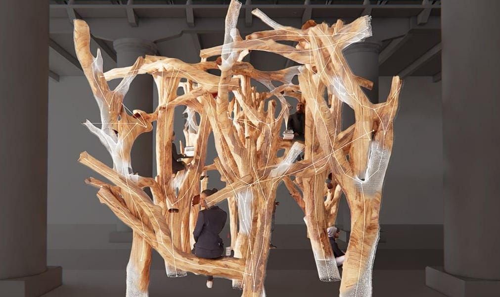 Ireland’s Representation at the 2025 Venice Architecture Biennale