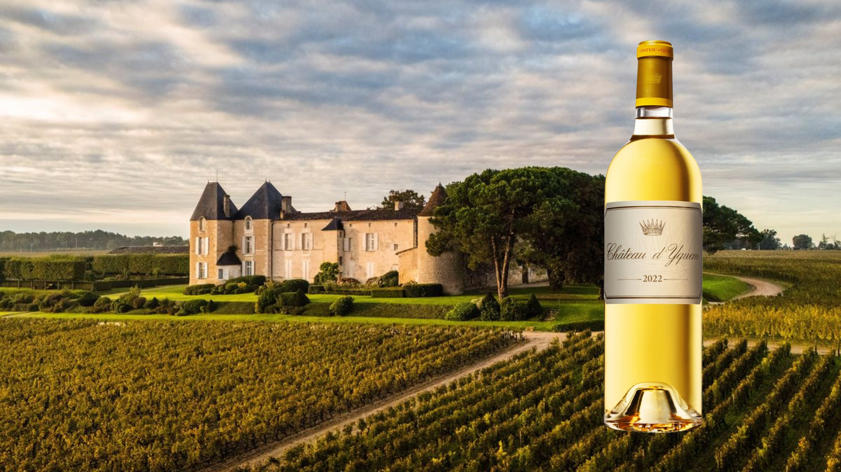 Château d’Yquem Reveals Its Exceptional 2022 Vintage