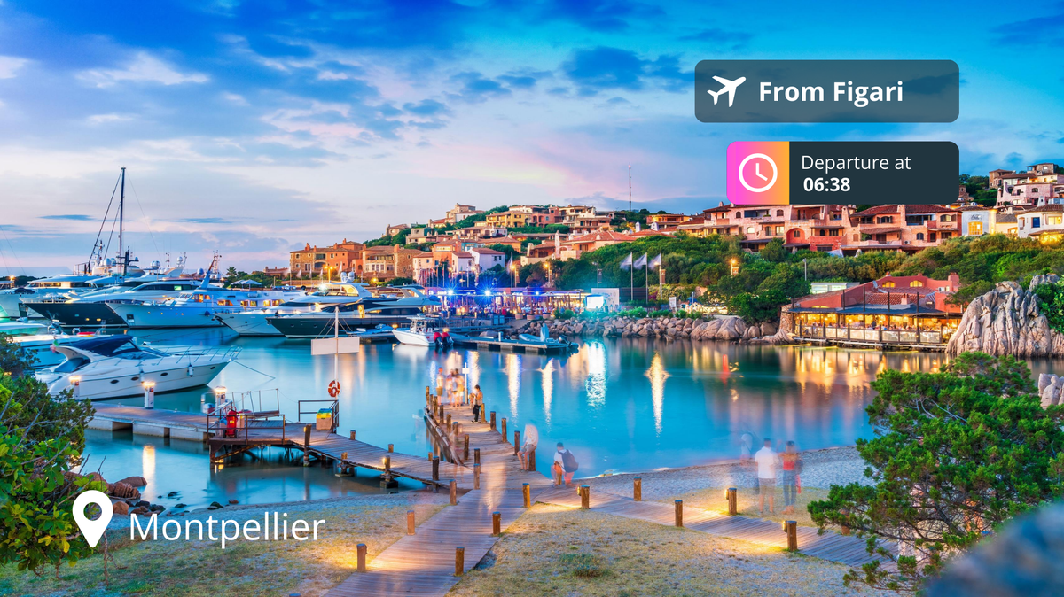 Last-Minute Private Jet Deal: Figari to Montpellier for 85% Off!