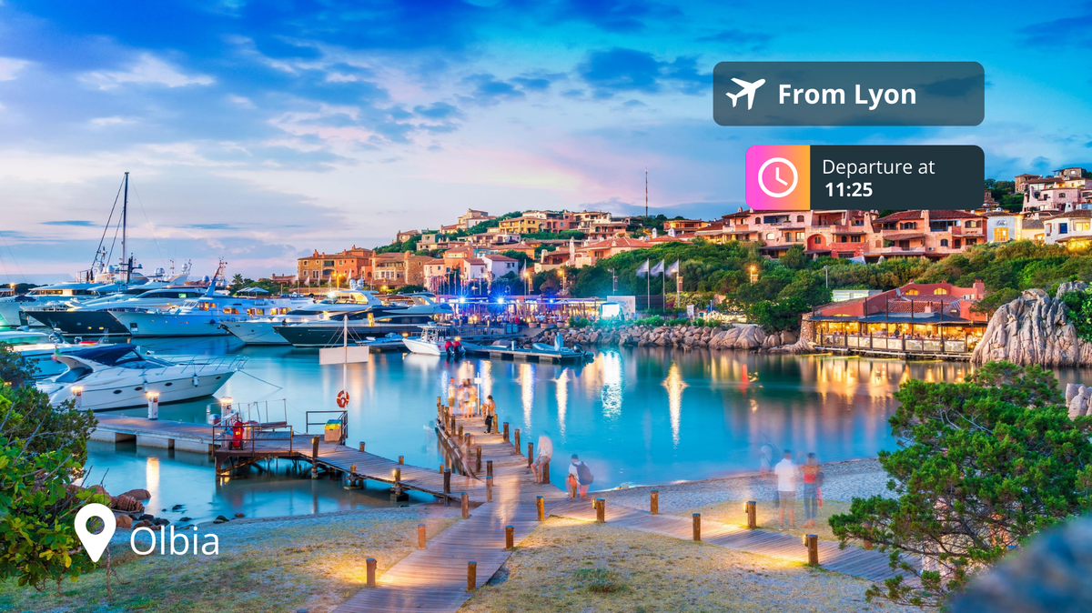Last-Minute Private Jet Deal: Lyon to Olbia for 88% Off!