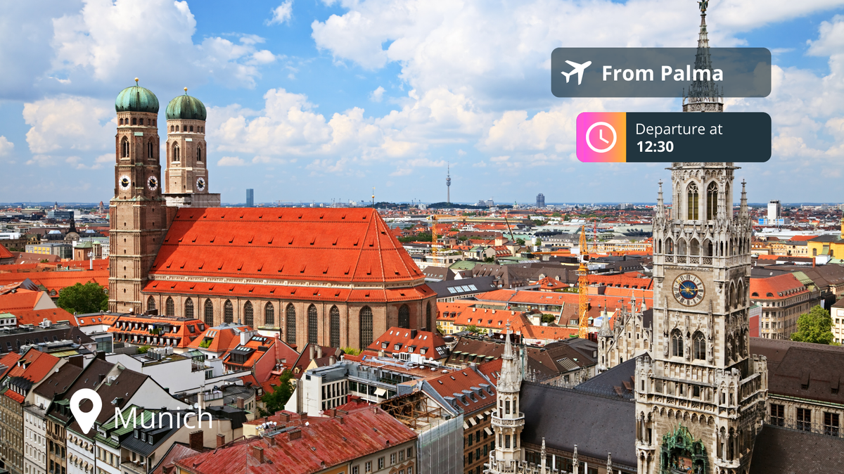 Last-Minute Private Jet Deal: Palma to Munich for 90% Off!