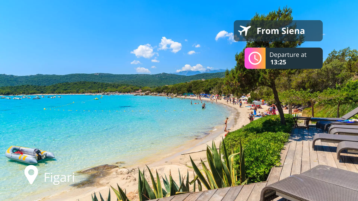 Last-Minute Private Jet Deal: Siena to Figari for 78% Off!