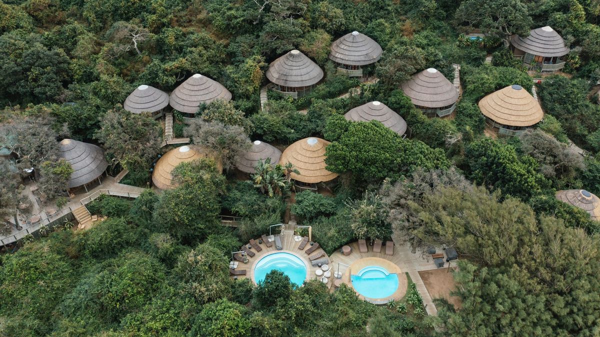 Southern Africa’s Wild Edges: Where Conservation Shapes the Journey