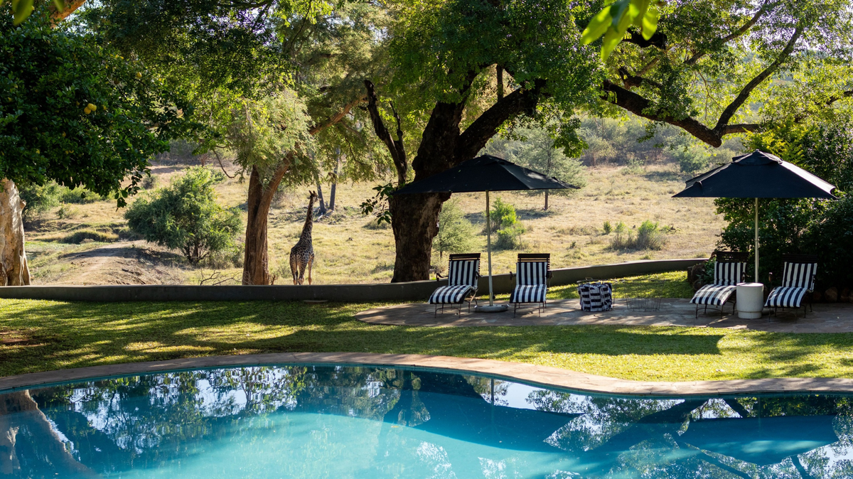 An African Escape Where the Wildlife Comes Close and the Luxury Never Leaves