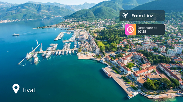 Last-Minute Private Jet Deal: Linz to Tivat for 87% Off!