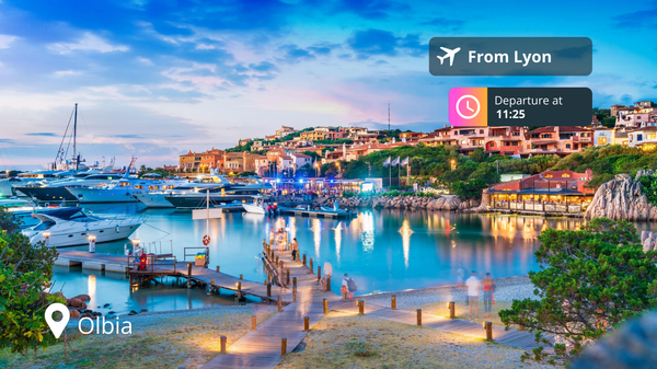 Last-Minute Private Jet Deal: Lyon to Olbia for 88% Off!