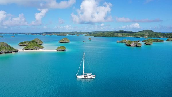 Oyster Charts a New Course