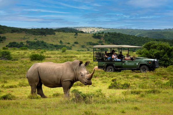 How One South African Safari Redefined What Luxury Actually Means
