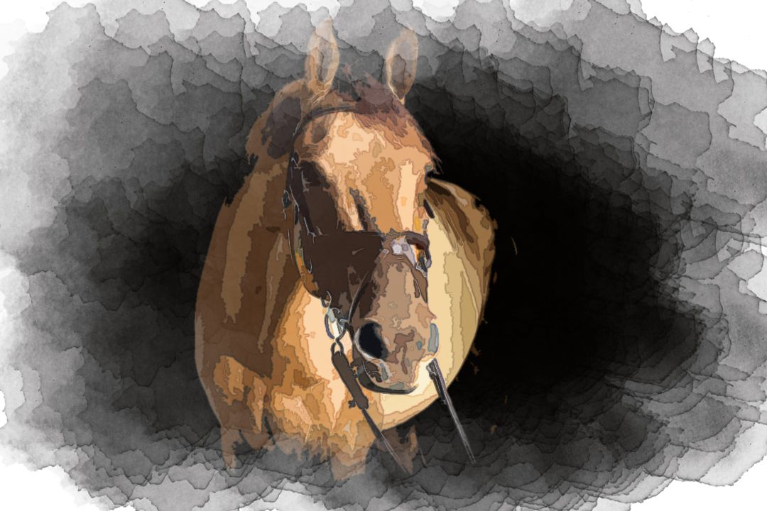 brown horse in dark room