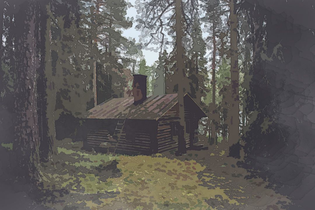 photo of brown wooden cabin in forest during daytime