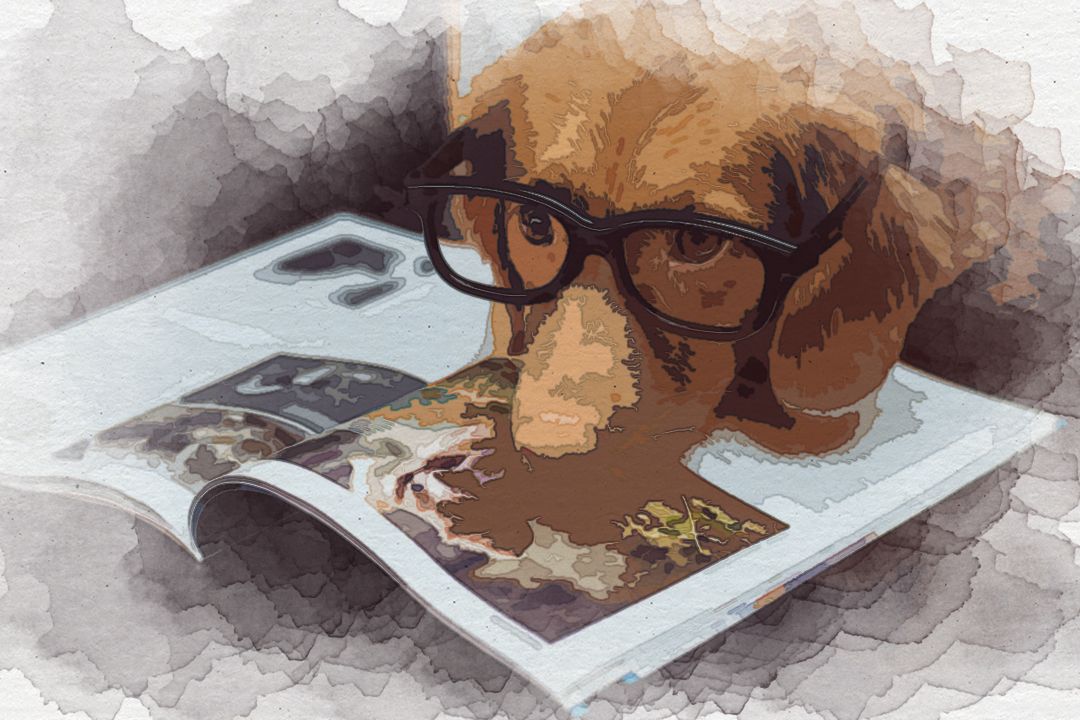 black framed eyeglasses