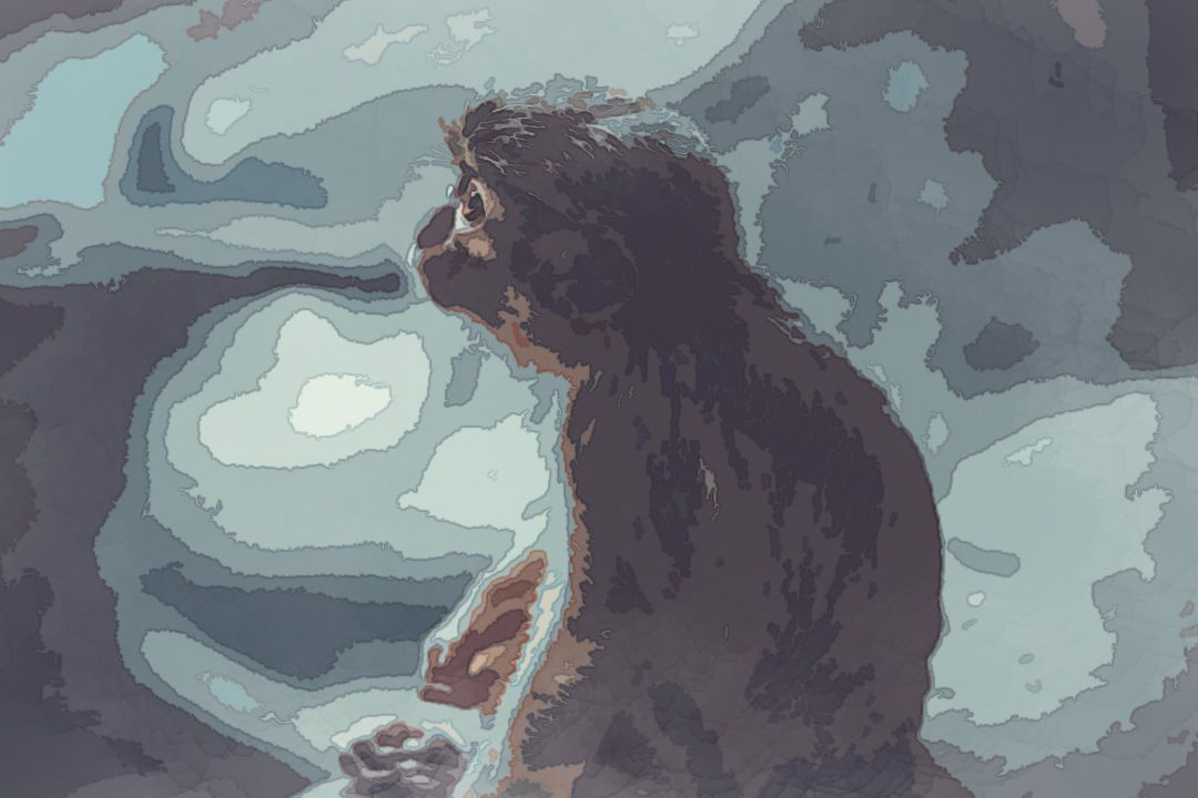 shallow photography of monkey sitting on grey stone looking elsewhere