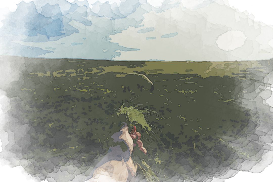 man wearing white t-shirt standing on rock formation near body of water