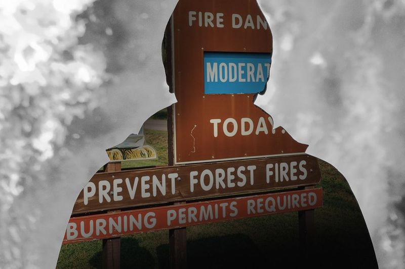 The Unbearable Likeness of Being