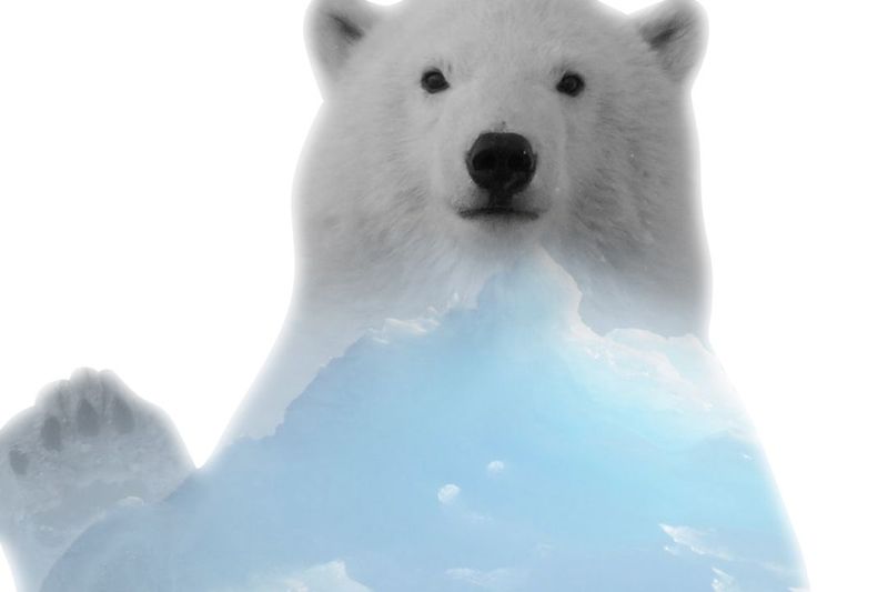 Damn! I Have Used This Analogy Before Reading This