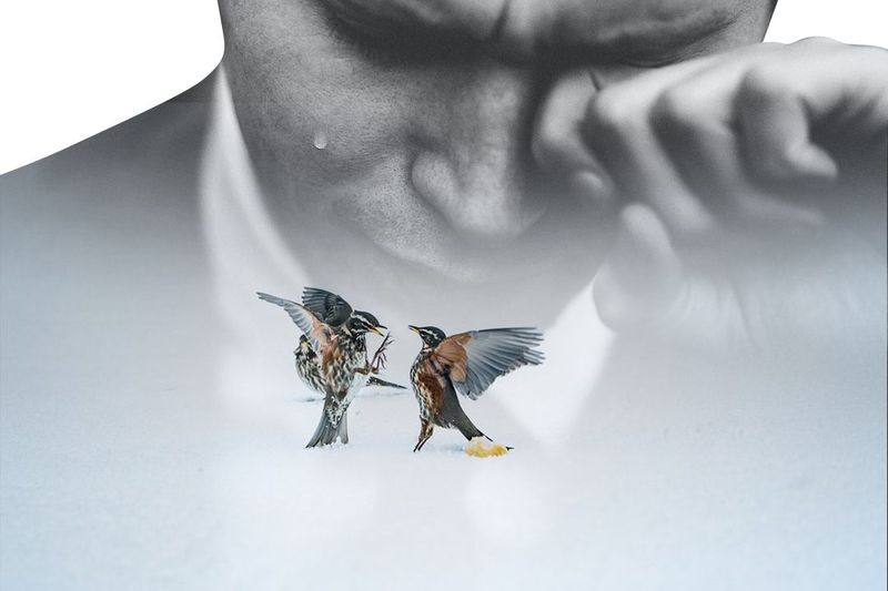 Fear Not, my Friend. Ease your Suffering.