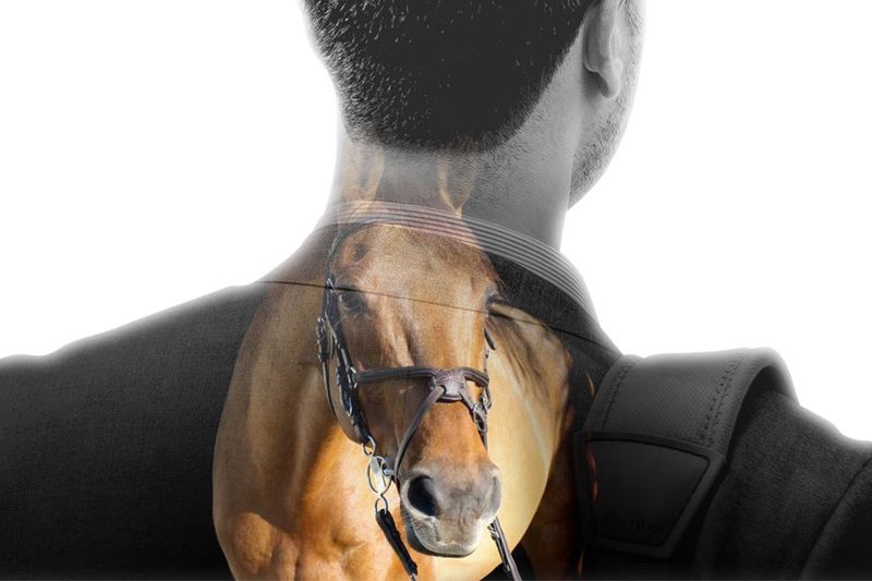 The Night Mare Awakes Every Day