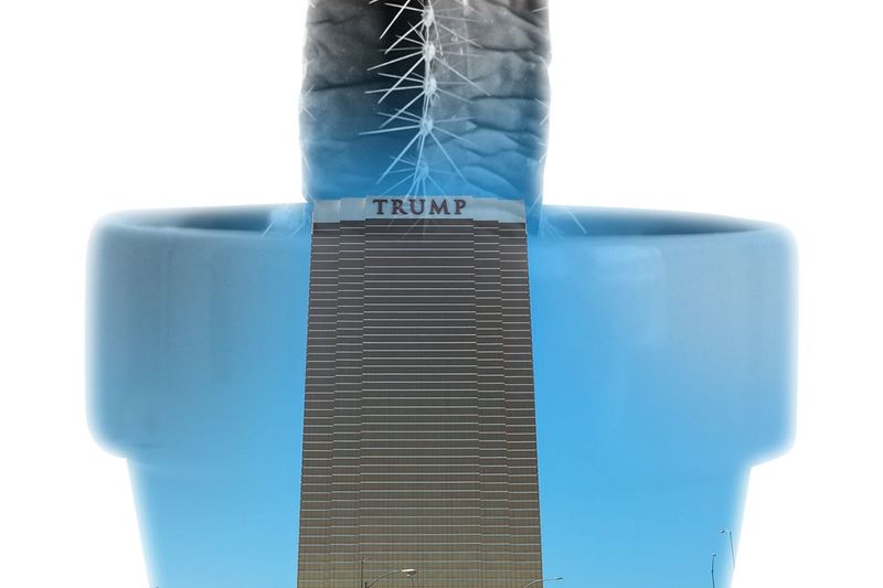 Republicans Disagree