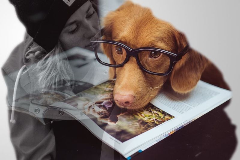 All Paths of Virtue Lead to Friendship