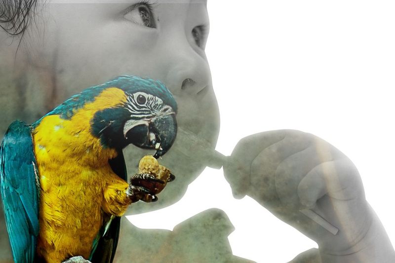 Asymmetries of Delated Gratitude