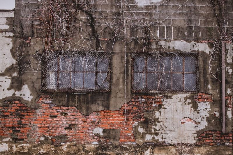 What Are You Looking For?