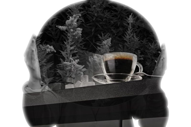 Monumental Reflections Articulated