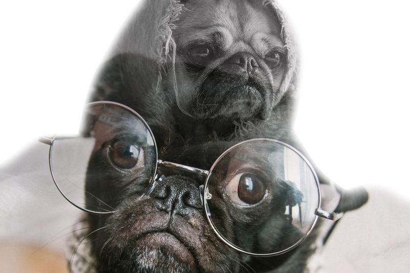 John, I Think You are Paranoid