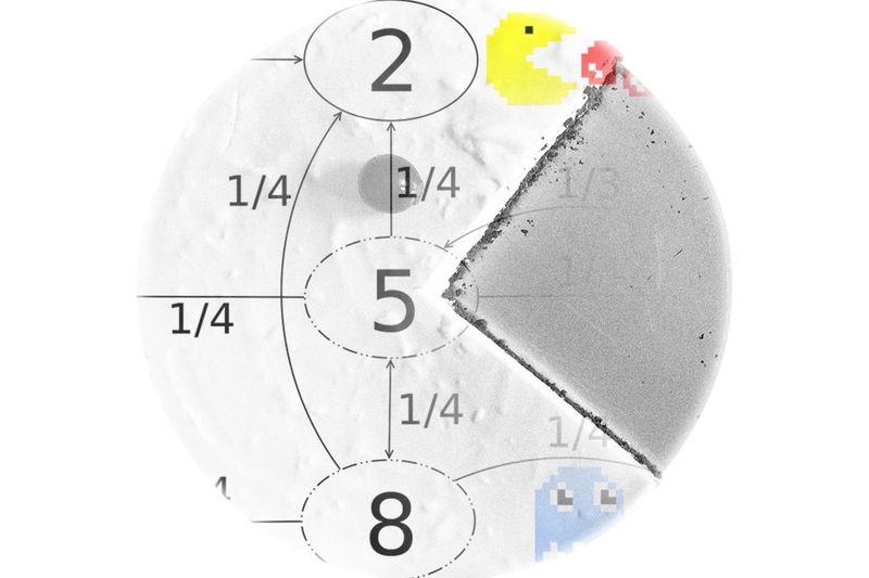 Goal-Directed Markov Chains
