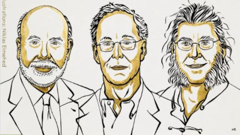 The Nobel Prize for Mediocrity and Irrelevance Goes To…