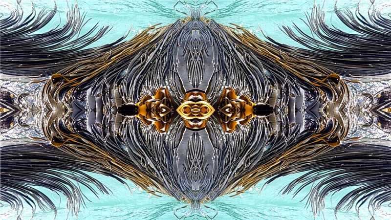 Water, bodies, bodies of water, and the Universe