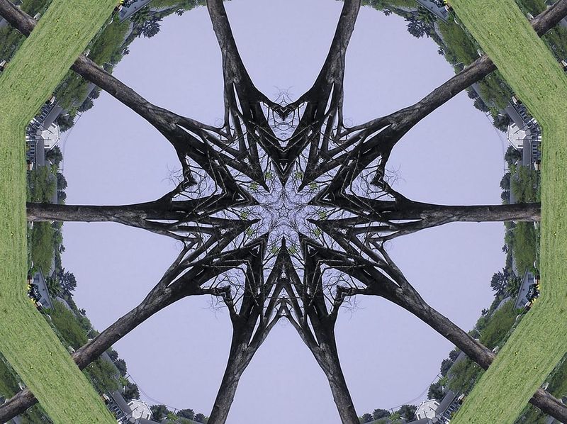 Trees are Family: DNA, Ancestors and Whakapapa