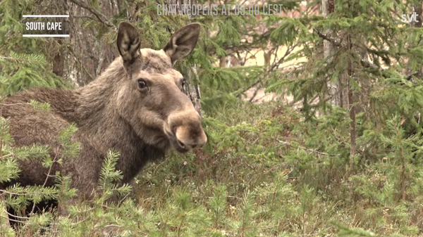 Weekend Recommendations 4/25 | Cinema Every Way