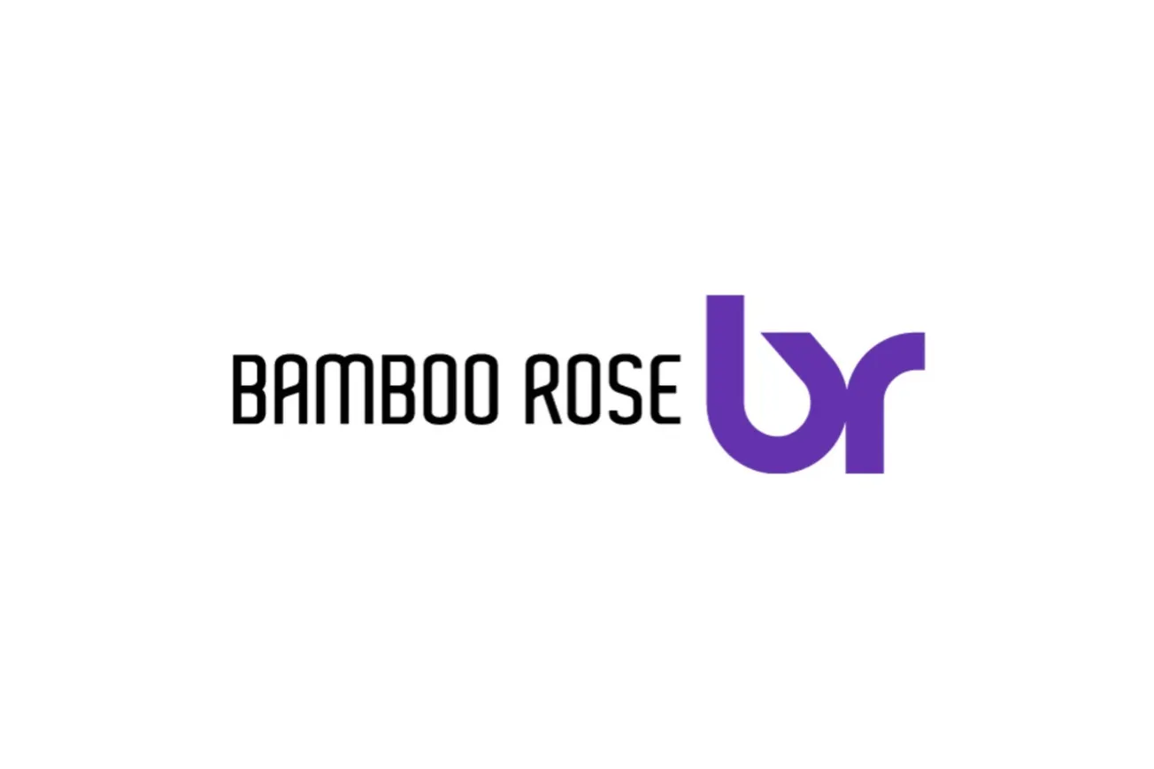 Bamboo Rose hires Steve Gordon to lead planning, analytics