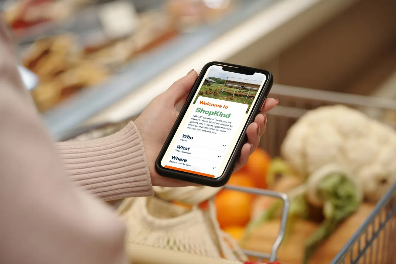 ASPCA ShopKind debuts to help shoppers nationwide find more humane food locally
