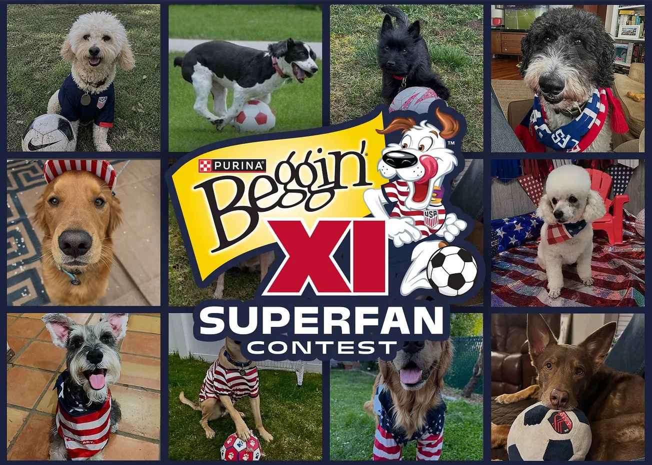 Beggin' unveils the Beggin' XI Top Dog