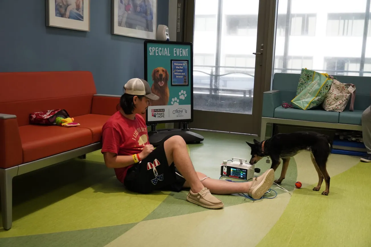 Purina Family Pet Center celebrates 10 years of bringing comfort to families at St. Louis Children's Hospital