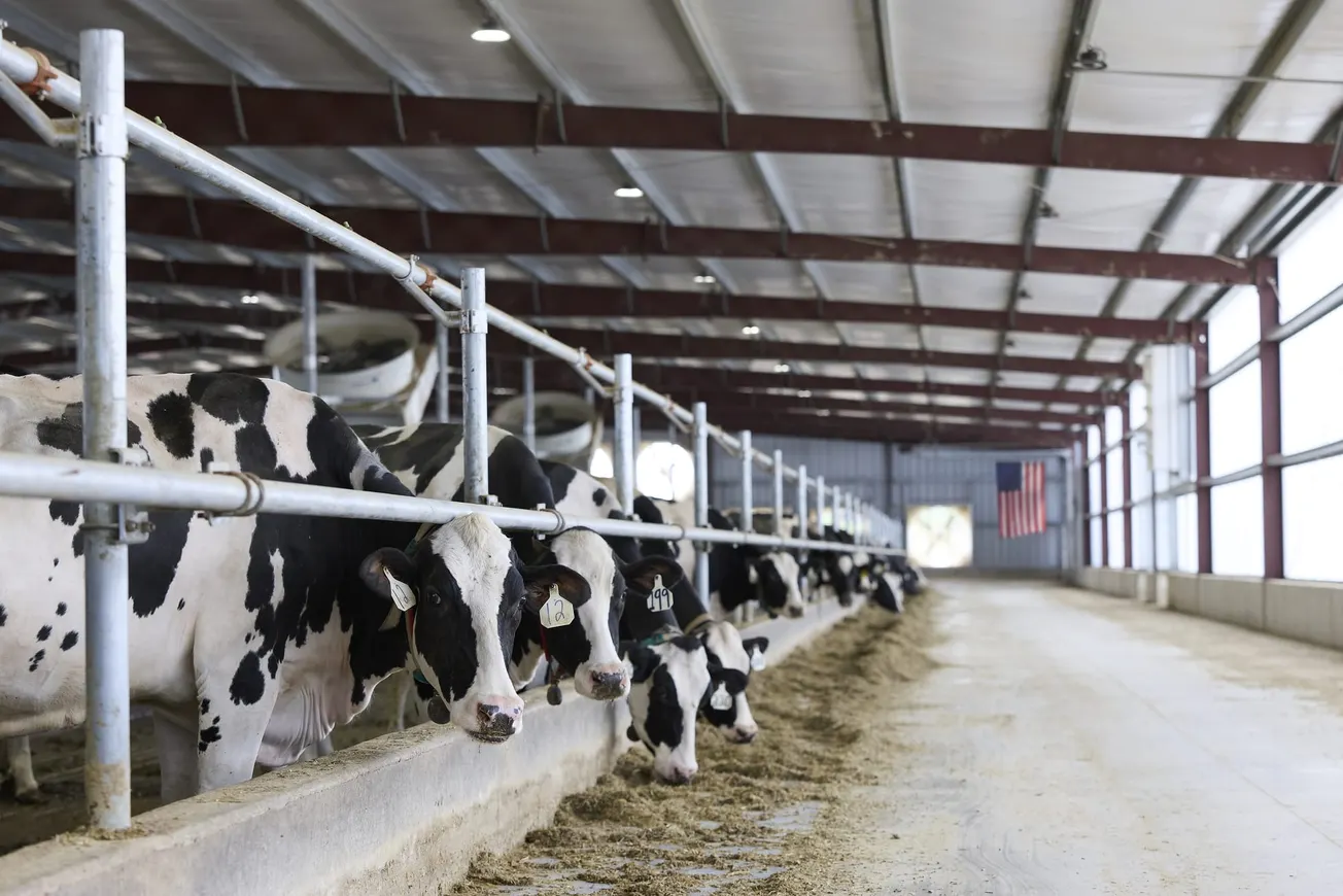 Danone USA's economic impact: Putting health through food in action for America