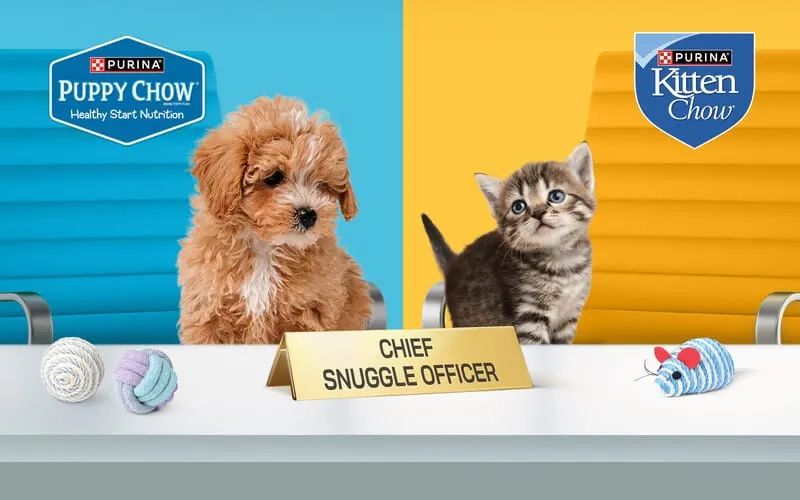 Purina Puppy Chow and Kitten Chow search for "Chief Snuggle Officers" returns