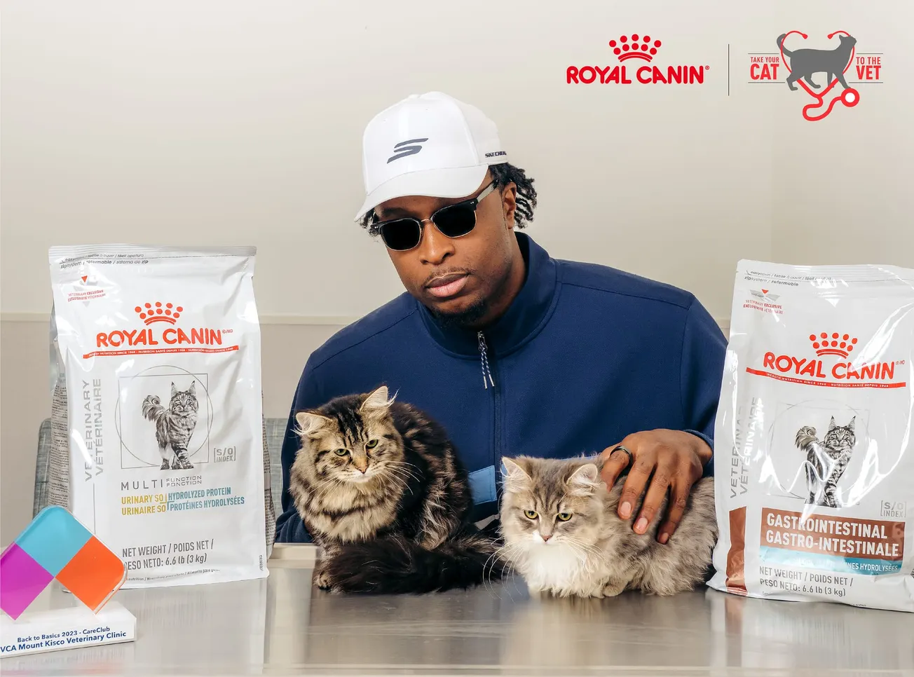 OG Anunoby wants you to take your cat to the vet
