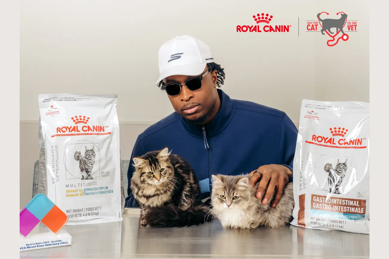 OG Anunoby wants you to take your cat to the vet