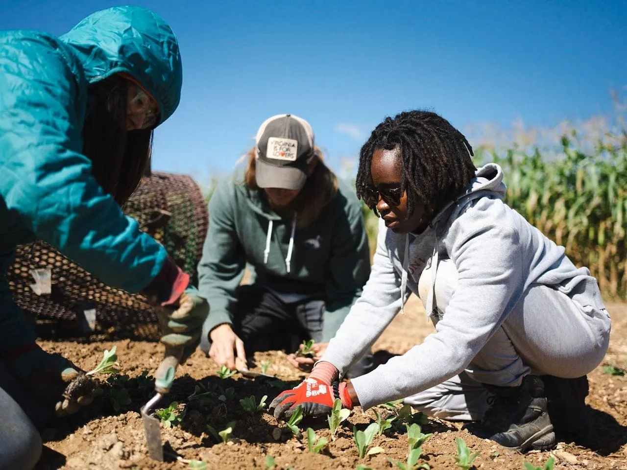 Natural Grocers marks Organic Month with nationwide fundraiser for Rodale Institute