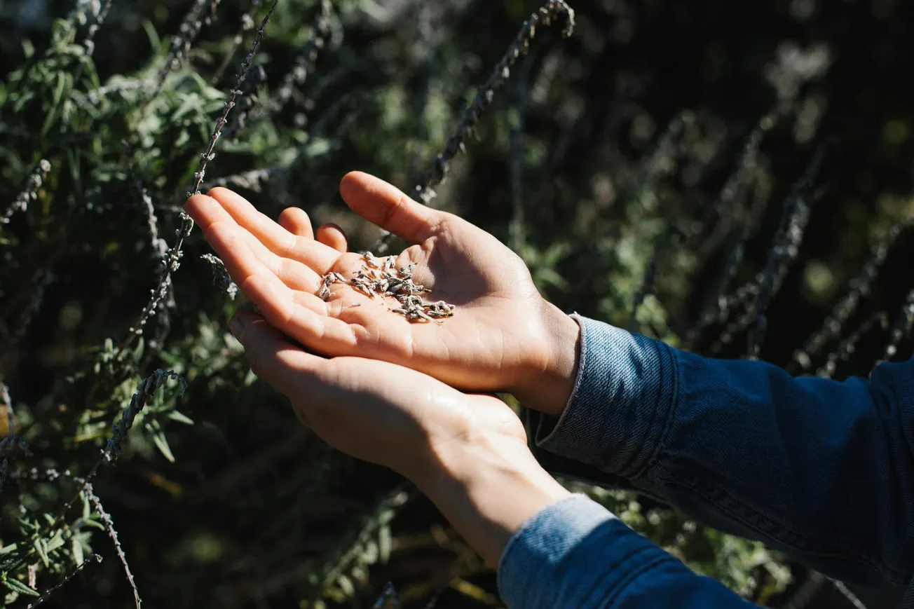 Whole Foods Market and National Young Farmers Coalition launch Next Generation Farmer Fund