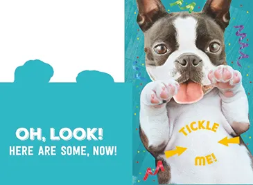 Hallmark offers card innovations for the summer