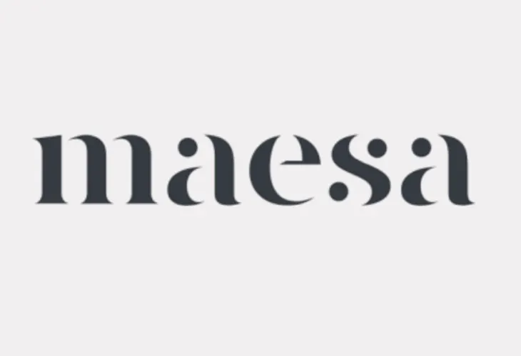 Maesa